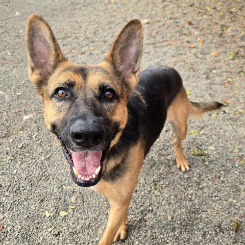 Photo for 150596 [Zoey]