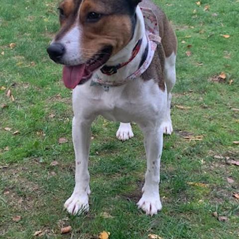 Photo for 150628 [Lunabelle]