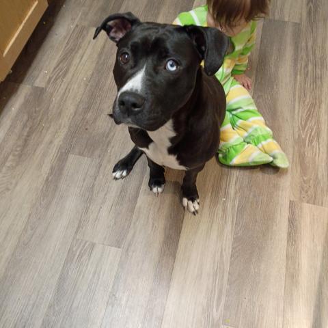 Photo for 150684 [Astra ]