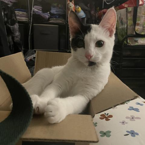 Photo for 150706 [Phantom]