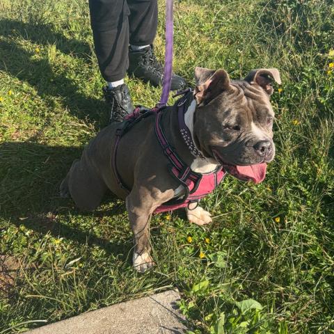 Photo for 150720 [Pebbles]