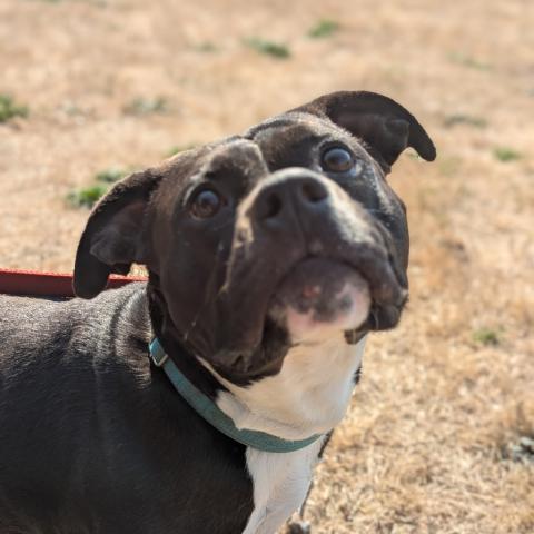 Photo for 150723 [Perico]