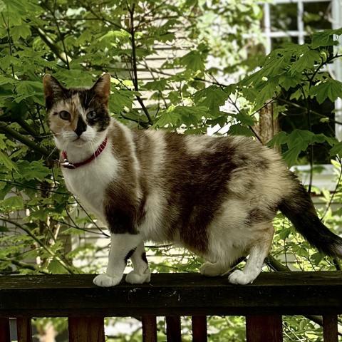 Photo for 150724 [Yoko]