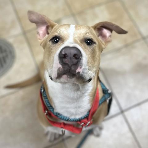 Photo for 150736 [Skittles]