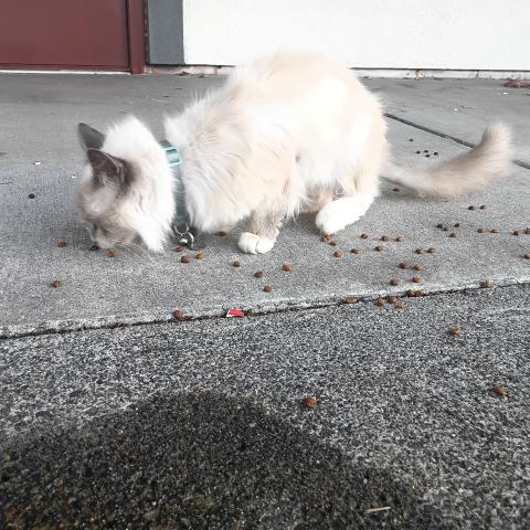 Photo for 150802 [fr150802]