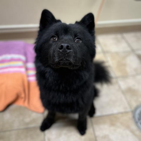 Photo for 150810 [Twister]