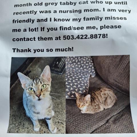 Photo for 150812 [Mabel ]