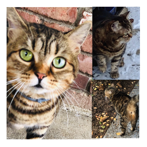 Photo for 150818 [Sweeney]