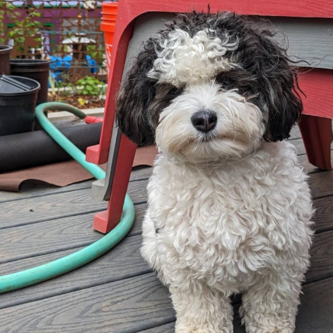 Photo for 150872 [Omi]