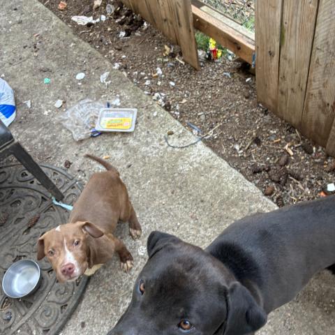 Photo for 150890 [Iris]