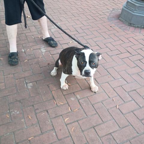 Photo for 150894 [Lucky]