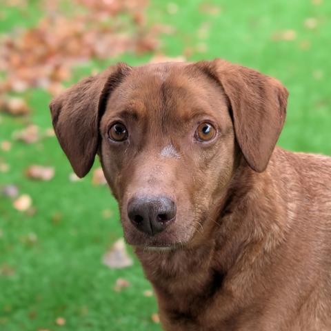 Photo for 150896 [Rocky]