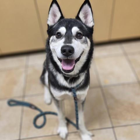 Photo for 150918 [Buddy]