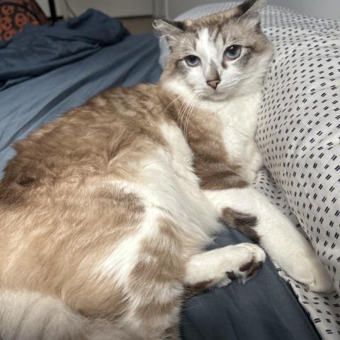 Photo for 150924 [Indigo]