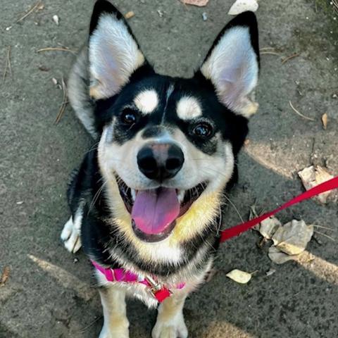 Photo for 151001 [Snafu]