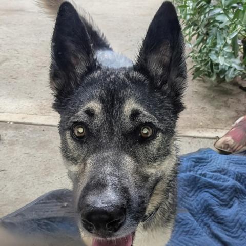 Photo for 151011 [fr151011]