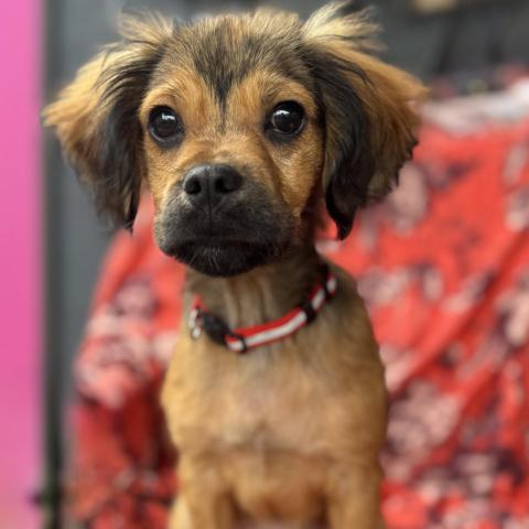 Photo for 151015 [Pogo]