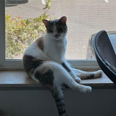 Photo for 151022 [Salem]