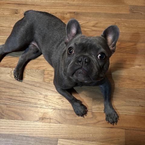 Photo for 151026 [Unknown]