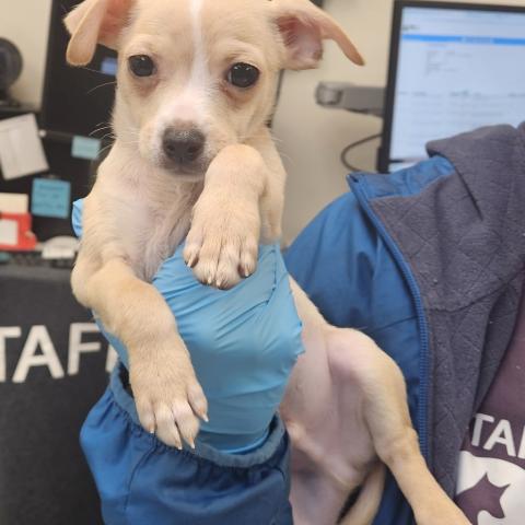 Photo for 151154 [Maury]