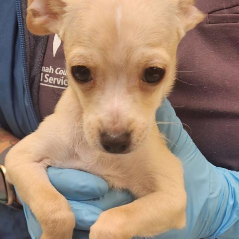 Photo for 151156 [Jerry]