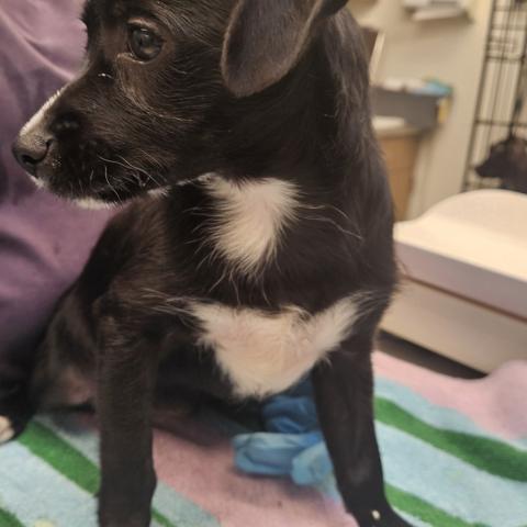 Photo for 151162 [Ricki Lake]