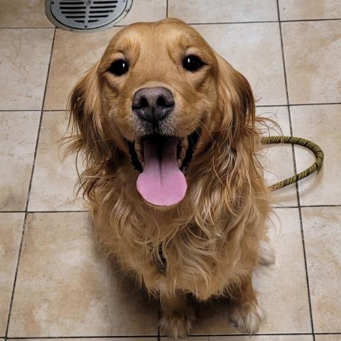 Photo for 151185 [Autumn]