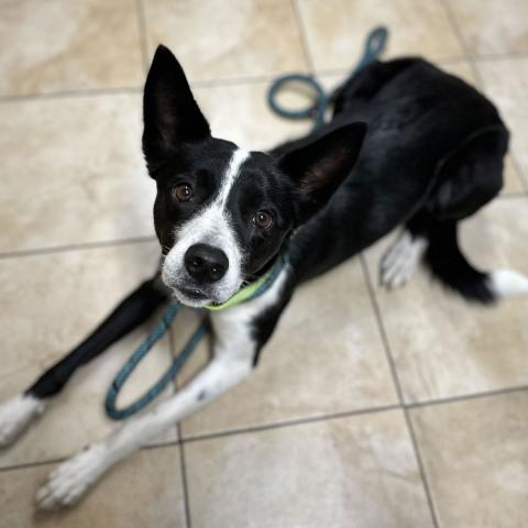 Photo for 151215 [Annabelle]