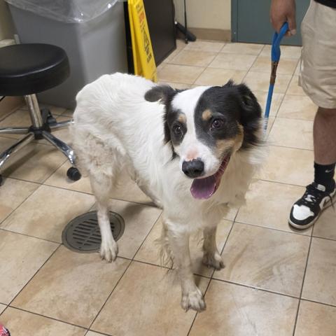 Photo for 151284 [Harlan]