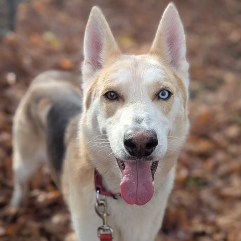 Photo for 151287 [Snape]