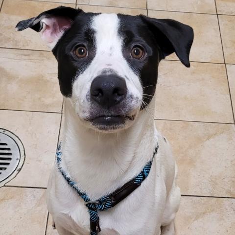 Photo for 151327 [Oliver]