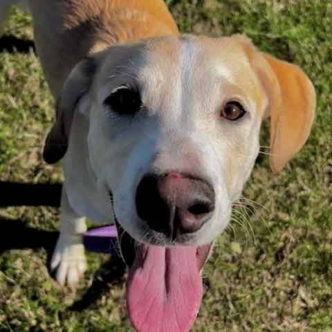 Photo for 151332 [Ranger]