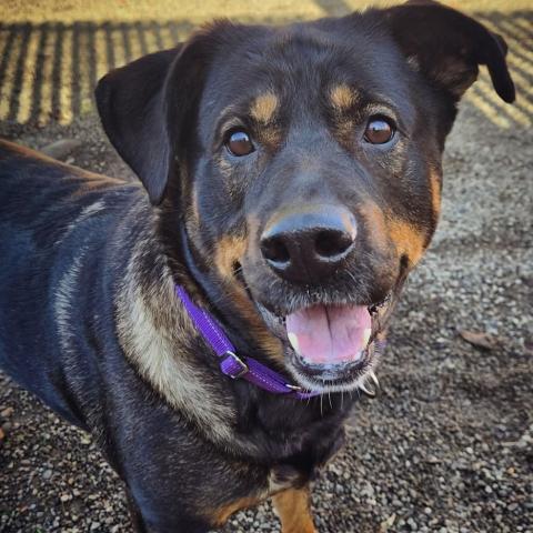 Photo for 151346 [Luna]