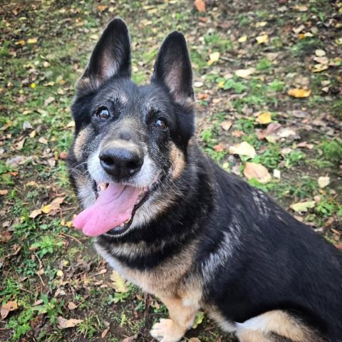 Photo for 151376 [Miss Luna]