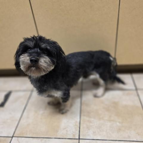 Photo for 151377 [Zozo]