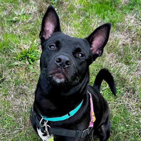 Photo for 151388 [Logan]