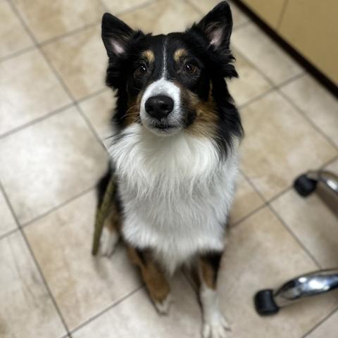 Photo for 151468 [Patch]