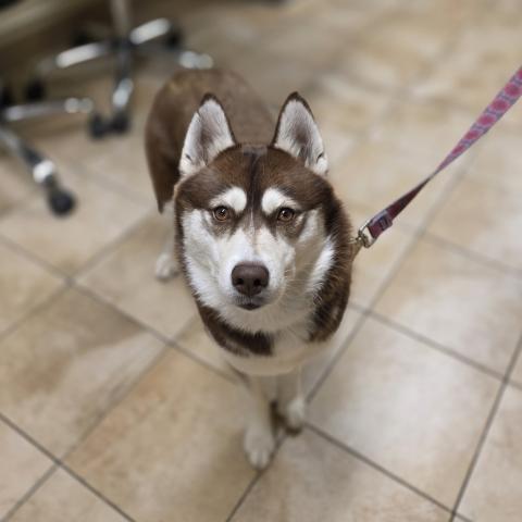 Photo for 151523 [Ember]