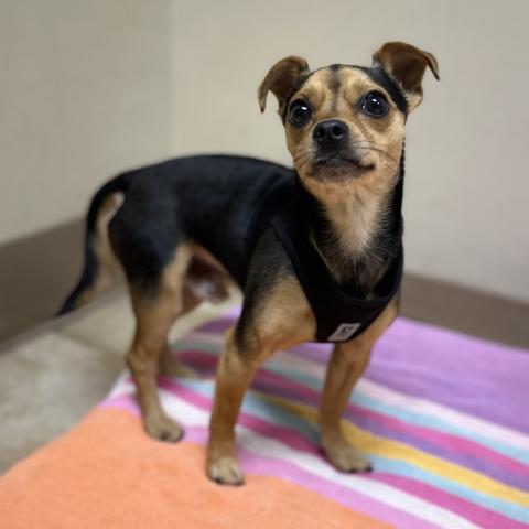 Photo for 151529 [Kevin]