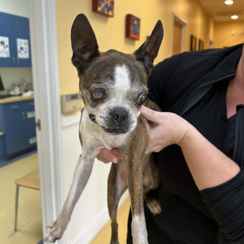 Photo for 151556 [fr151556]