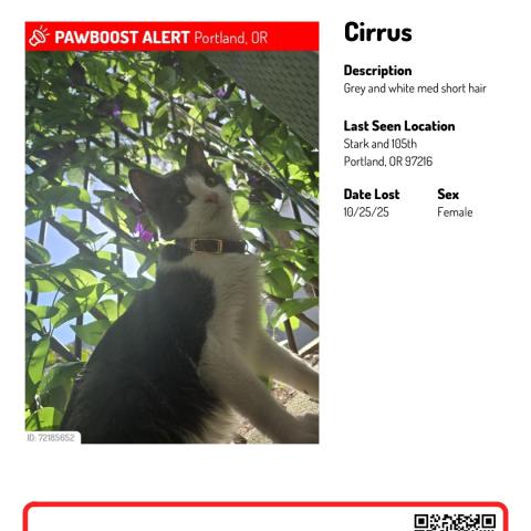 Photo for 151634 [Cirrus]