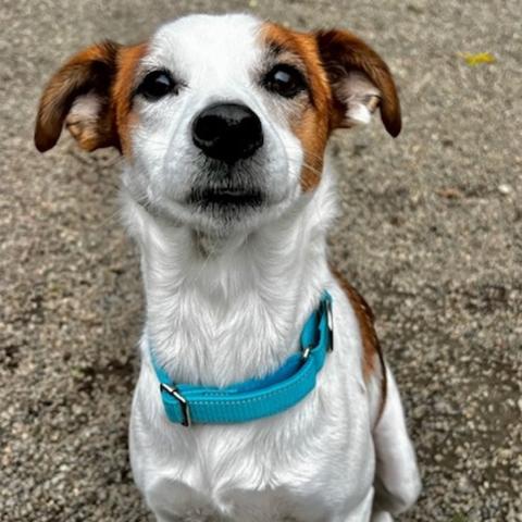 Photo for 151719 [Berrie]