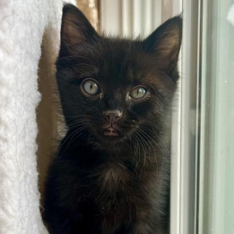 Photo for 151830 [Paddles]