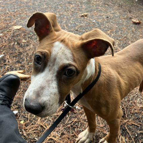 Photo for 151849 [Dudley]