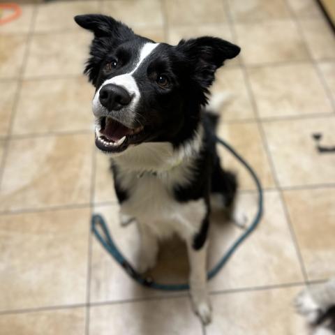 Photo for 151864 [Theodore]