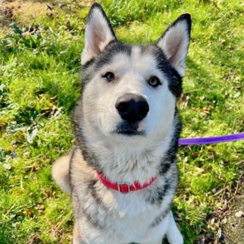 Photo for 151898 [Berrypie]