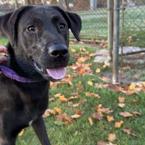 Photo for 151952 [fr151952]