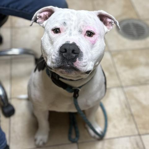 Photo for 151969 [Kobe]