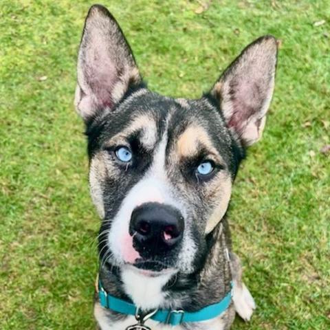 Photo for 152010 [Taz]