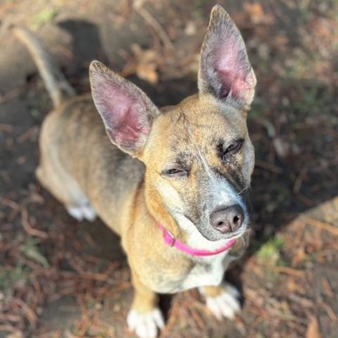 Photo for 152089 [Totzilla]